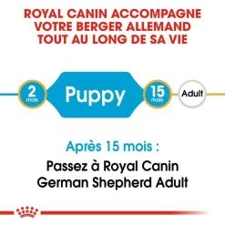 ROYAL CANIN German Shepherd Puppy 3kg X2 11 ROYAL CANIN German Shepherd Puppy 3kg X2 -L'effet animalerie de la maison. fre pl ROYAL CANIN German Shepherd Puppy 3kg x2 30765 2