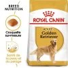 ROYAL CANIN Golden Retriever Adult 12kg -L'effet animalerie de la maison. fre pl ROYAL CANIN Golden Retriever Adult 12kg 16018 1