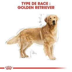 ROYAL CANIN Golden Retriever Adult 12kg 10 ROYAL CANIN Golden Retriever Adult 12kg -L'effet animalerie de la maison. fre pl ROYAL CANIN Golden Retriever Adult 12kg 16018 3