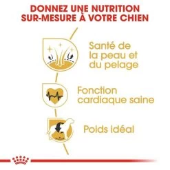 ROYAL CANIN Golden Retriever Adult 12kg 12 ROYAL CANIN Golden Retriever Adult 12kg -L'effet animalerie de la maison. fre pl ROYAL CANIN Golden Retriever Adult 12kg 16018 5