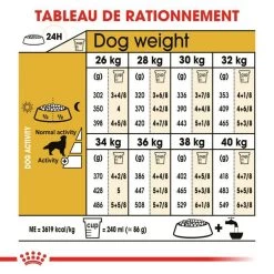 ROYAL CANIN Golden Retriever Adult 12kg 13 ROYAL CANIN Golden Retriever Adult 12kg -L'effet animalerie de la maison. fre pl ROYAL CANIN Golden Retriever Adult 12kg 16018 6