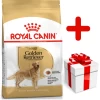 ROYAL CANIN Golden Retriever Adult 12kg + Surprise Pour Votre Chien GRATUITES ! -L'effet animalerie de la maison. fre pl ROYAL CANIN Golden Retriever Adult 12kg surprise pour votre chien GRATUITES 17874 1