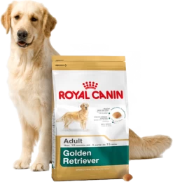 ROYAL CANIN Golden Retriever Adult 12kg + Surprise Pour Votre Chien GRATUITES ! -L'effet animalerie de la maison. fre pl ROYAL CANIN Golden Retriever Adult 12kg surprise pour votre chien GRATUITES 17874 3