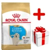 ROYAL CANIN Golden Retriever Puppy 12kg + Surprise Pour Votre Chien GRATUITES ! -L'effet animalerie de la maison. fre pl ROYAL CANIN Golden Retriever Puppy 12kg surprise pour votre chien GRATUITES 17884 1