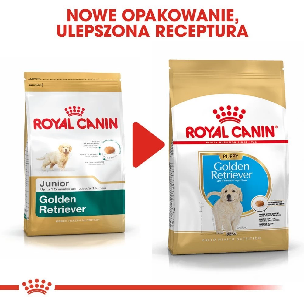 ROYAL CANIN Golden Retriever Puppy 12kg + Surprise Pour Votre Chien GRATUITES ! 5 ROYAL CANIN Golden Retriever Puppy 12kg + Surprise Pour Votre Chien GRATUITES ! – Image 3