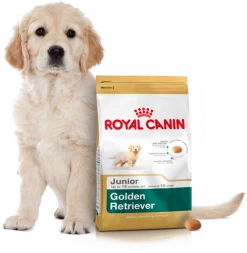 ROYAL CANIN Golden Retriever Puppy 12kg + Surprise Pour Votre Chien GRATUITES ! 11 ROYAL CANIN Golden Retriever Puppy 12kg + Surprise Pour Votre Chien GRATUITES ! -L'effet animalerie de la maison. fre pl ROYAL CANIN Golden Retriever Puppy 12kg surprise pour votre chien GRATUITES 17884 4