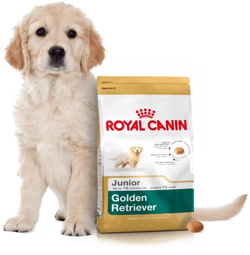 ROYAL CANIN Golden Retriever Puppy 12kg + Surprise Pour Votre Chien GRATUITES ! 6 ROYAL CANIN Golden Retriever Puppy 12kg + Surprise Pour Votre Chien GRATUITES ! – Image 4