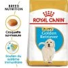 ROYAL CANIN Golden Retriever Puppy 3kg -L'effet animalerie de la maison. fre pl ROYAL CANIN Golden Retriever Puppy 3kg 16020 1