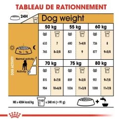 ROYAL CANIN Great Dane Adult 12kg -L'effet animalerie de la maison. fre pl ROYAL CANIN Great Dane Adult 12kg 9213 6