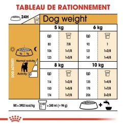 ROYAL CANIN Jack Russell Terrier Adult 1,5kg -L'effet animalerie de la maison. fre pl ROYAL CANIN Jack Russell Terrier Adult 1 5kg 16916 4