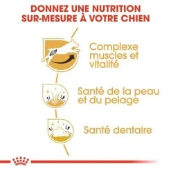 ROYAL CANIN Jack Russell Terrier Adult 7,5kg -L'effet animalerie de la maison. fre pl ROYAL CANIN Jack Russell Terrier Adult 7 5kg 15345 4