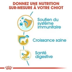 ROYAL CANIN Jack Russell Terrier Puppy 3kg 9 ROYAL CANIN Jack Russell Terrier Puppy 3kg -L'effet animalerie de la maison. fre pl ROYAL CANIN Jack Russell Terrier Puppy 3kg 16918 1