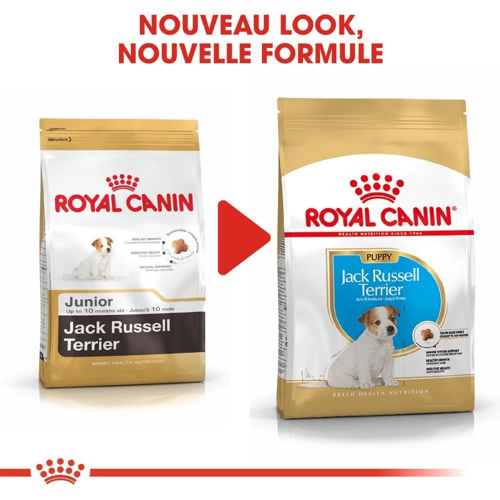 ROYAL CANIN Jack Russell Terrier Puppy 3kg 3 ROYAL CANIN Jack Russell Terrier Puppy 3kg