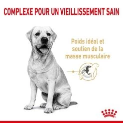 ROYAL CANIN Labrador Retriever Adult 5+ 3kgx2 -L'effet animalerie de la maison. fre pl ROYAL CANIN Labrador Retriever Adult 5 3kg x2 30738 3