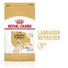 ROYAL CANIN Labrador Retriever Adult 5+ 3kgx2 -L'effet animalerie de la maison. fre pl ROYAL CANIN Labrador Retriever Adult 5 3kg x2 30738 6