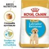 ROYAL CANIN Labrador Retriever Puppy 12kg -L'effet animalerie de la maison. fre pl ROYAL CANIN Labrador Retriever Puppy 12kg 9263 1