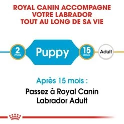 ROYAL CANIN Labrador Retriever Puppy 3kg -L'effet animalerie de la maison. fre pl ROYAL CANIN Labrador Retriever Puppy 3kg 16063 4