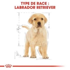 ROYAL CANIN Labrador Retriever Puppy 3kg -L'effet animalerie de la maison. fre pl ROYAL CANIN Labrador Retriever Puppy 3kg 16063 5
