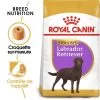 ROYAL CANIN Labrador Retriever Sterilised 12kg 2 ROYAL CANIN Labrador Retriever Sterilised 12kg -L'effet animalerie de la maison. fre pl ROYAL CANIN Labrador Retriever Sterilised 12kg 9273 1
