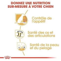 ROYAL CANIN Labrador Retriever Sterilised 12kg 11 ROYAL CANIN Labrador Retriever Sterilised 12kg -L'effet animalerie de la maison. fre pl ROYAL CANIN Labrador Retriever Sterilised 12kg 9273 4