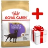 ROYAL CANIN Labrador Retriever Sterilised 12kg + Surprise Pour Votre Chien GRATUITES ! 2 ROYAL CANIN Labrador Retriever Sterilised 12kg + Surprise Pour Votre Chien GRATUITES ! -L'effet animalerie de la maison. fre pl ROYAL CANIN Labrador Retriever Sterilised 12kg surprise pour votre chien GRATUITES 17875 1