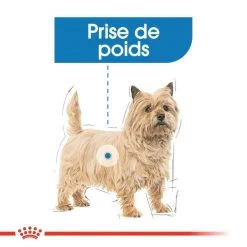 ROYAL CANIN Light Weight Care Pâté 12x85g -L'effet animalerie de la maison. fre pl ROYAL CANIN Light Weight Care Pate 12x85g 10096 4