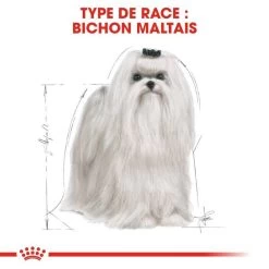 ROYAL CANIN Maltese Adult 1,5kg -L'effet animalerie de la maison. fre pl ROYAL CANIN Maltese Adult 1 5kg 16967 5