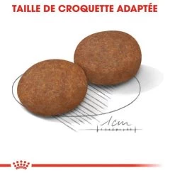 ROYAL CANIN Medium Adult 7+ 15kg -L'effet animalerie de la maison. fre pl ROYAL CANIN Medium Adult 7 15kg 16788 6