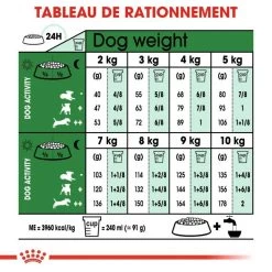 ROYAL CANIN Mini Adult 2kg -L'effet animalerie de la maison. fre pl ROYAL CANIN Mini Adult 2kg 16083 4