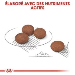 ROYAL CANIN Mini Digestive Care 1kg 10 ROYAL CANIN Mini Digestive Care 1kg -L'effet animalerie de la maison. fre pl ROYAL CANIN Mini Digestive Care 1kg 10082 10