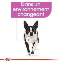 ROYAL CANIN Mini Relax Care 8kg -L'effet animalerie de la maison. fre pl ROYAL CANIN Mini Relax Care 8kg 10083 3
