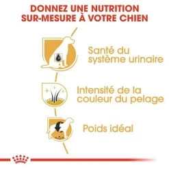ROYAL CANIN Miniature Schnauzer Adult 3kg 11 ROYAL CANIN Miniature Schnauzer Adult 3kg -L'effet animalerie de la maison. fre pl ROYAL CANIN Miniature Schnauzer Adult 3kg 9366 3