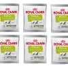 ROYAL CANIN Nutritional Supplement Educ 10x50g -L'effet animalerie de la maison. fre pl ROYAL CANIN Nutritional Supplement Educ 10x50g 29779 4