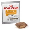 ROYAL CANIN Nutritional Supplement Energy 50g X5 -L'effet animalerie de la maison. fre pl ROYAL CANIN Nutritional Supplement Energy 50g x5 30592 1