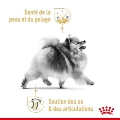 ROYAL CANIN Pomeranian Adult 1,5kg 10 ROYAL CANIN Pomeranian Adult 1,5kg -L'effet animalerie de la maison. fre pl ROYAL CANIN Pomeranian Adult 1 5kg 13393 3
