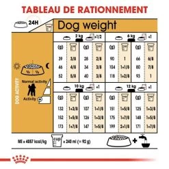 ROYAL CANIN Poodle Adult 1,5kg -L'effet animalerie de la maison. fre pl ROYAL CANIN Poodle Adult 1 5kg 9428 5
