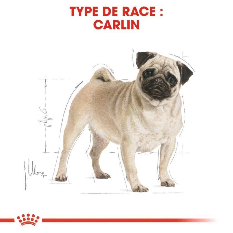 ROYAL CANIN Pug Adult 1,5kg 4 ROYAL CANIN Pug Adult 1,5kg – Image 2