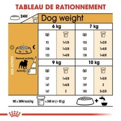 ROYAL CANIN Pug Adult 1,5kg 11 ROYAL CANIN Pug Adult 1,5kg -L'effet animalerie de la maison. fre pl ROYAL CANIN Pug Adult 1 5kg 16110 5