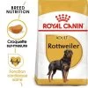 ROYAL CANIN Rottweiler Adult 12kg 1 ROYAL CANIN Rottweiler Adult 12kg -L'effet animalerie de la maison. fre pl ROYAL CANIN Rottweiler Adult 12kg 9456 1