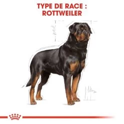 ROYAL CANIN Rottweiler Adult 12kg -L'effet animalerie de la maison. fre pl ROYAL CANIN Rottweiler Adult 12kg 9456 3