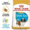 ROYAL CANIN Shih Tzu Puppy 500g 2 ROYAL CANIN Shih Tzu Puppy 500g -L'effet animalerie de la maison. fre pl ROYAL CANIN Shih Tzu Puppy 500g 9496 5