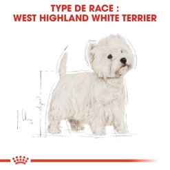 ROYAL CANIN West Highland White Terrier Adult 1,5kg 11 ROYAL CANIN West Highland White Terrier Adult 1,5kg -L'effet animalerie de la maison. fre pl ROYAL CANIN West Highland White Terrier Adult 1 5kg 16157 5