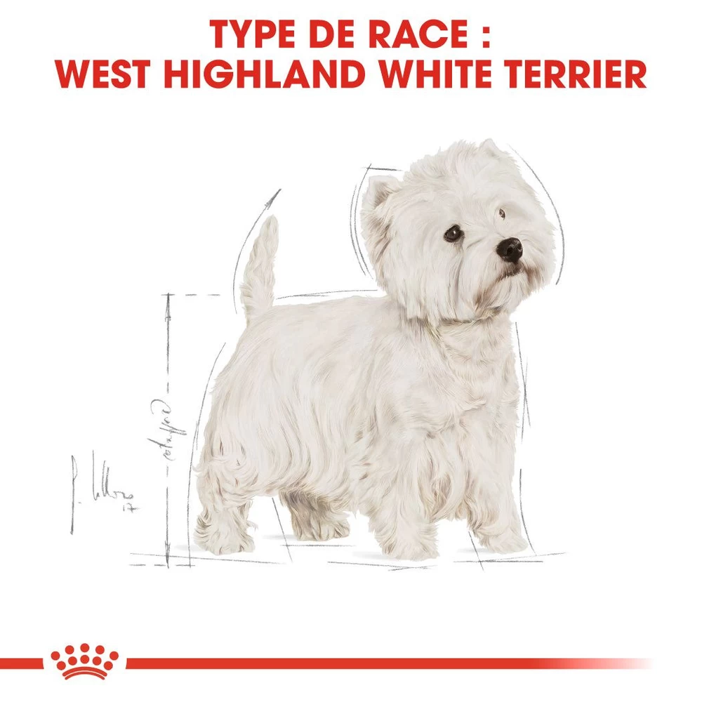 ROYAL CANIN West Highland White Terrier Adult 1,5kg 6 ROYAL CANIN West Highland White Terrier Adult 1,5kg – Image 4