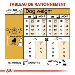ROYAL CANIN Yorkshire Terrier Adult 3kg X2 -L'effet animalerie de la maison. fre pl ROYAL CANIN Yorkshire Terrier Adult 3kg x2 30721 3