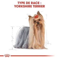 ROYAL CANIN Yorkshire Terrier Adult 3kg X2 -L'effet animalerie de la maison. fre pl ROYAL CANIN Yorkshire Terrier Adult 3kg x2 30721 4