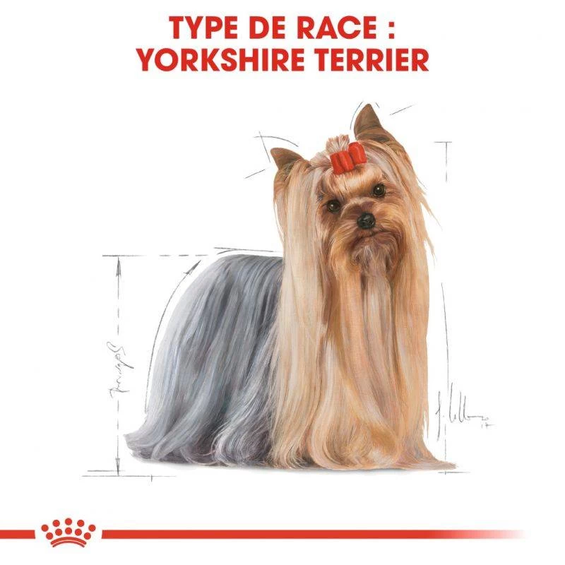 ROYAL CANIN Yorkshire Terrier Adult 7,5kg 5 ROYAL CANIN Yorkshire Terrier Adult 7,5kg – Image 3