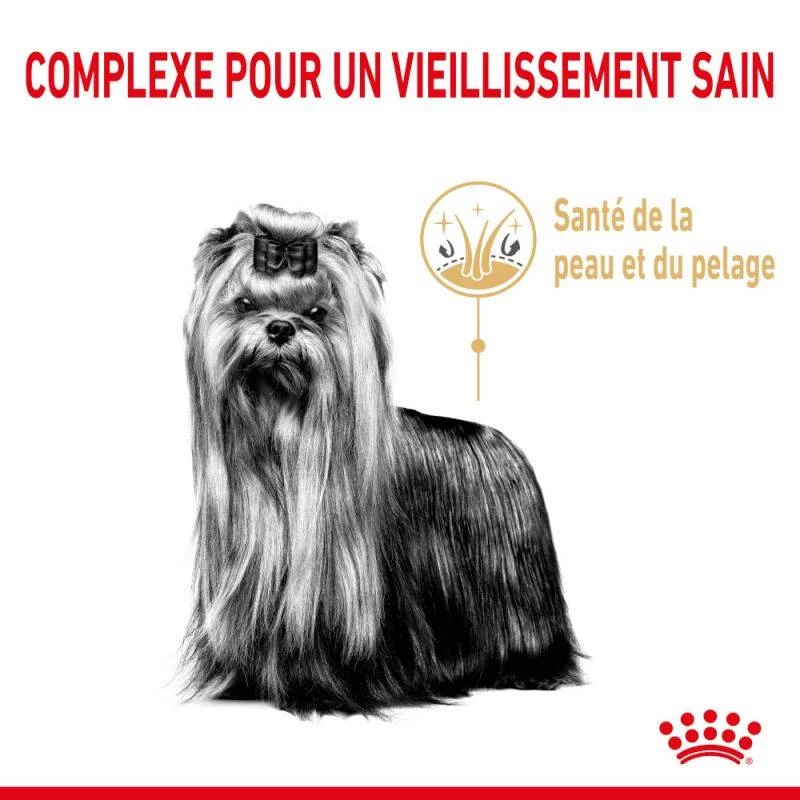 ROYAL CANIN Yorkshire Terrier Adult 8+ 3 Kg 8 ROYAL CANIN Yorkshire Terrier Adult 8+ 3 Kg – Image 6