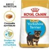 ROYAL CANIN Yorkshire Terrier Puppy 1,5kg 2 ROYAL CANIN Yorkshire Terrier Puppy 1,5kg -L'effet animalerie de la maison. fre pl ROYAL CANIN Yorkshire Terrier Puppy 1 5kg 9597 1
