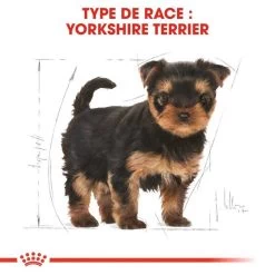ROYAL CANIN Yorkshire Terrier Puppy 1,5kg 10 ROYAL CANIN Yorkshire Terrier Puppy 1,5kg -L'effet animalerie de la maison. fre pl ROYAL CANIN Yorkshire Terrier Puppy 1 5kg 9597 3