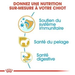 ROYAL CANIN Yorkshire Terrier Puppy 1,5kg 11 ROYAL CANIN Yorkshire Terrier Puppy 1,5kg -L'effet animalerie de la maison. fre pl ROYAL CANIN Yorkshire Terrier Puppy 1 5kg 9597 4
